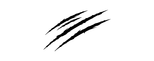 ppsport_2